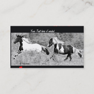 Pinto Business-kaarten Visitekaartje