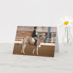 Pinto Dressage Horse Kaart