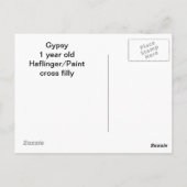 pinto filepkaart briefkaart (Achterkant)