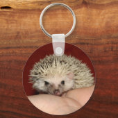 Pinto-gezichtegel Sleutelhanger (Voorkant)