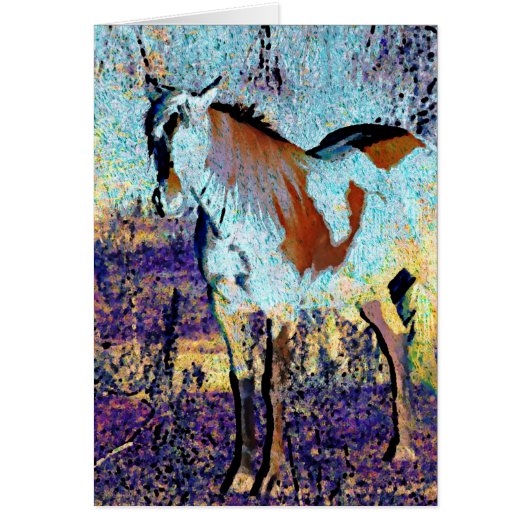 Pinto Horse Digital Art (Voorkant)