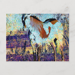 Pinto Horse Digital Art Briefkaart