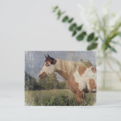 Pinto Horse Grunge Briefkaart (Staand voorkant)