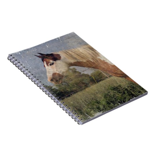 Pinto Horse Grunge Notitieboek (Rechterzijde)