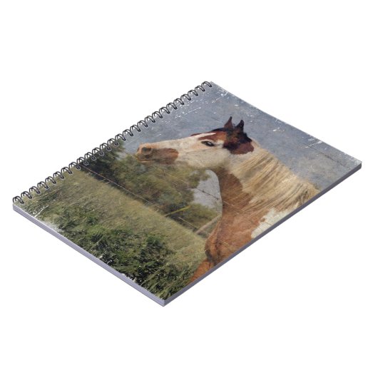 Pinto Horse Grunge Notitieboek (Linkerzijde)