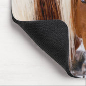 Pinto Horse Mount Moran in Winter Muismat (Hoek)