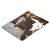 Pinto Horse Notitieboek (Linkerzijde)
