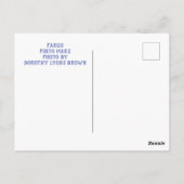 PINTO HORSE POST CARTE (Dos)