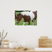 Pinto Horse Poster (Keuken)