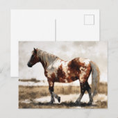 Pinto Horse Waterverf Briefkaart (Voorkant / Achterkant)