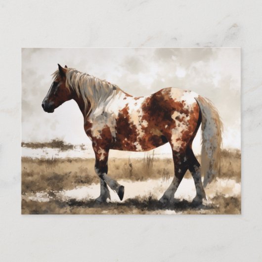 Pinto Horse Waterverf Briefkaart (Voorkant)
