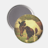 Pinto Magneet (Voorkant / Achterkant)