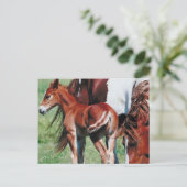 Pinto Mare met Foal Briefkaart (Staand voorkant)