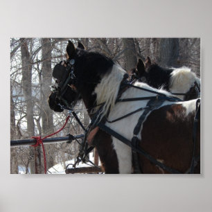 Pinto-ontwerpteam Poster