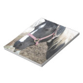 Pinto-paard verven notitieblok (Gedraaid)