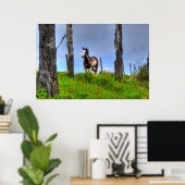 Pinto Paint, Fenceline & Clouds Ranch Horse Photo Poster (Thuiskantoor)