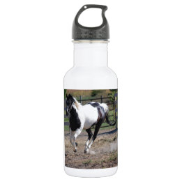 Pinto Paint Horse Waterfles