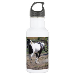 Pinto Paint Horse Waterfles