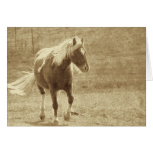 Pinto Pony Sepia Grunge