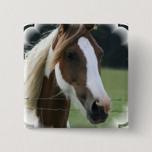 Pinto Pony Square Pin Vierkante Button 5,1 Cm (Voorkant)