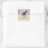 Pinto-Pony Vierkante Sticker (Tas)