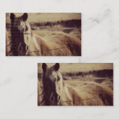 Pinto-Pony Visitekaartje (Voorkant / Achterkant)
