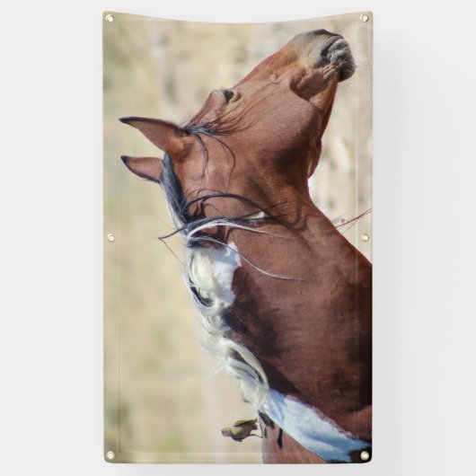 PINTO SAUVAGE AVEC BANNIÈRE D'OISEAU À GROMMET (Vertical)