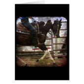 Pinto Western (Devant)