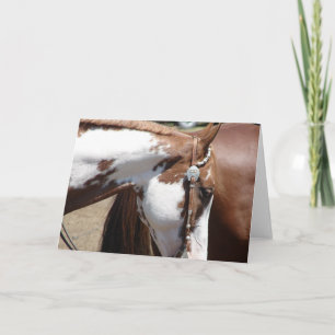Pinto Western paard Kaart