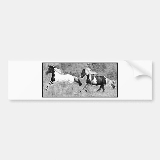 Pintos Galloping, Bumpersticker (Voorkant)