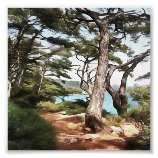 Pinus pinea Pine Tree Forest Painting Foto Afdruk (Voorkant)
