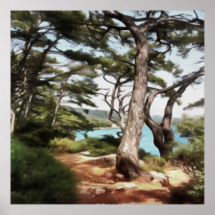 Pinus pinea Pine Tree Forest Painting Poster