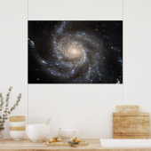 Pinwheels M101 78x52 (57x38) Poster (Keuken)