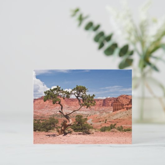 Pinyon Pine Tree Briefkaart (Staand voorkant)