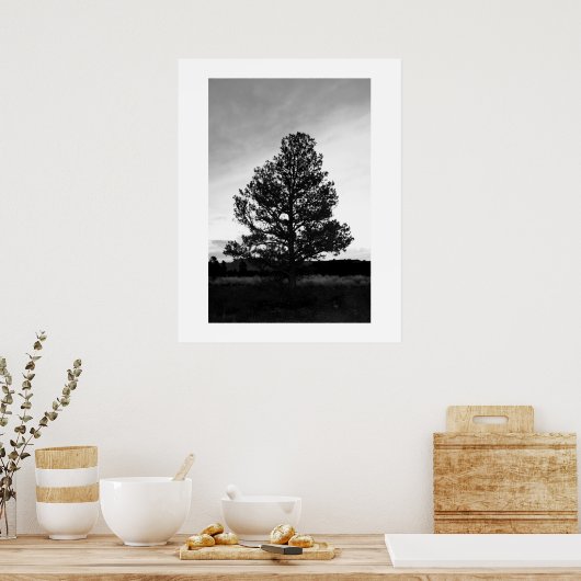 Pinyon Tree Silhouette Poster (Keuken)