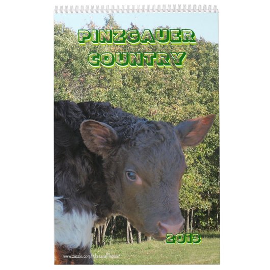 Pinzgauer 2013 Cattle Calendar-personalize Kalender (Hoes)