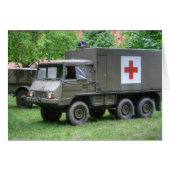 Pinzgauer 712 SAN (Voorkant Horizontaal)