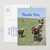 Pinzgauer Cattle 8371 Carte postale - personnalise (Devant / Derrière)