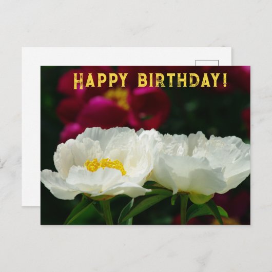Pioen/Bloem Magic/Witte Bloem/Gelukkige Verjaardag Feestdagenkaart (Voorkant / Achterkant)