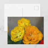 Pioen tulp briefkaart (Voorkant / Achterkant)