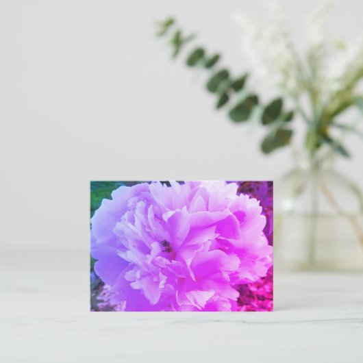 Pioenbloem met een honingbij informatiekaartje (Staand voorkant)