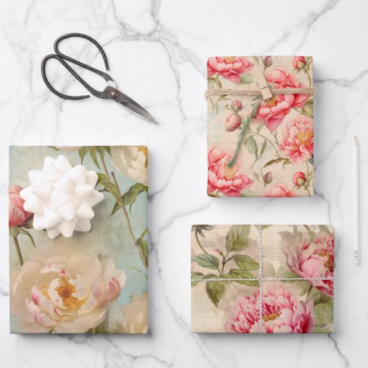 Pionies enveloppant du papier (Recto)