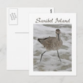 Piper de sable Sanibel Island Carte postale (Devant / Derrière)