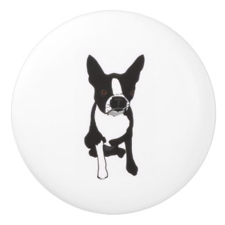 Piper Drawer Pulls Keramische Knop