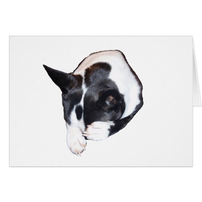 Piper - Slapen (Voorkant Horizontaal)