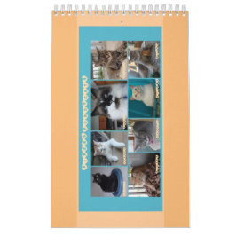 PipersPuddycats 2020 Agenda Kalender