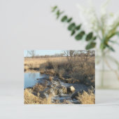 Pipestone, carte postale MN (Debout devant)