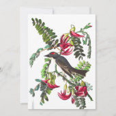 Pipetteer Flycatcher van John James Audubon Kaart (Voorkant)