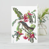 Pipetteer Flycatcher van John James Audubon Kaart (Staand voorkant)