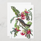 Pipetteer Flycatcher van John James Audubon Kaart (Voorkant / Achterkant)